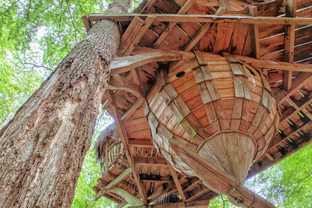 Cabin Drommen - L'Arbre à Cabane