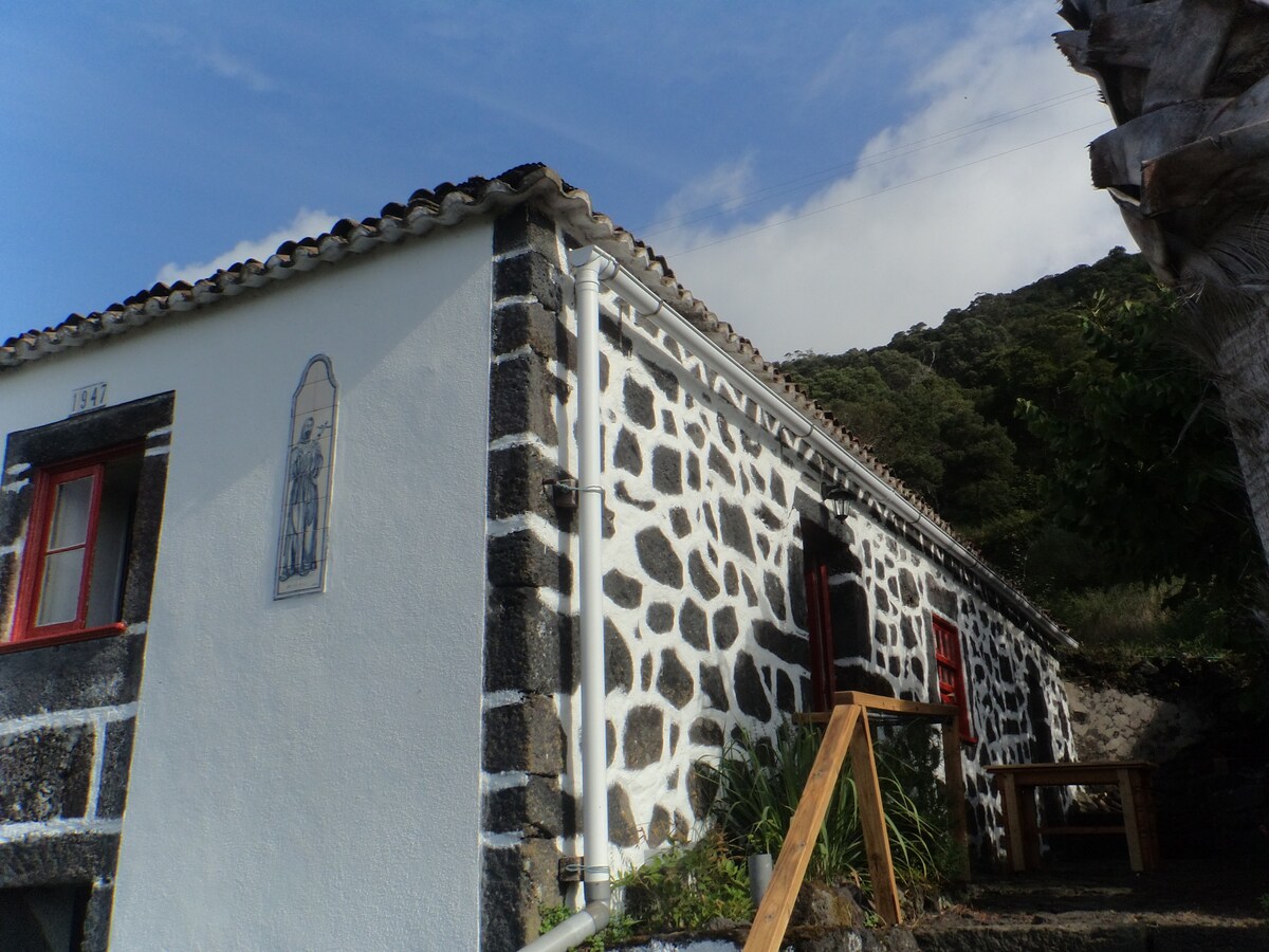 圣若热海岸（ South Coast of São Jorge Sea ） ，欣赏皮科美景