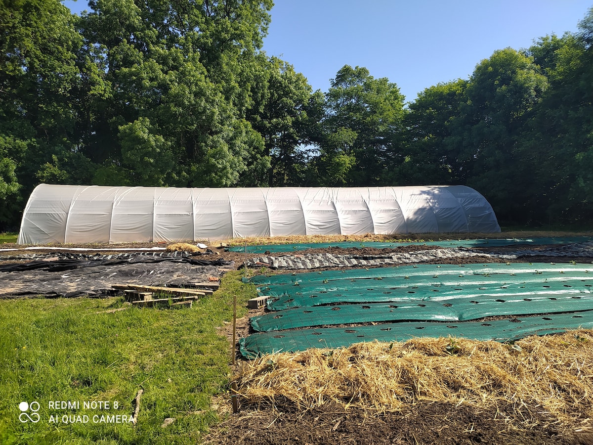 Petite ferme en campagne à l'entrée de la ville