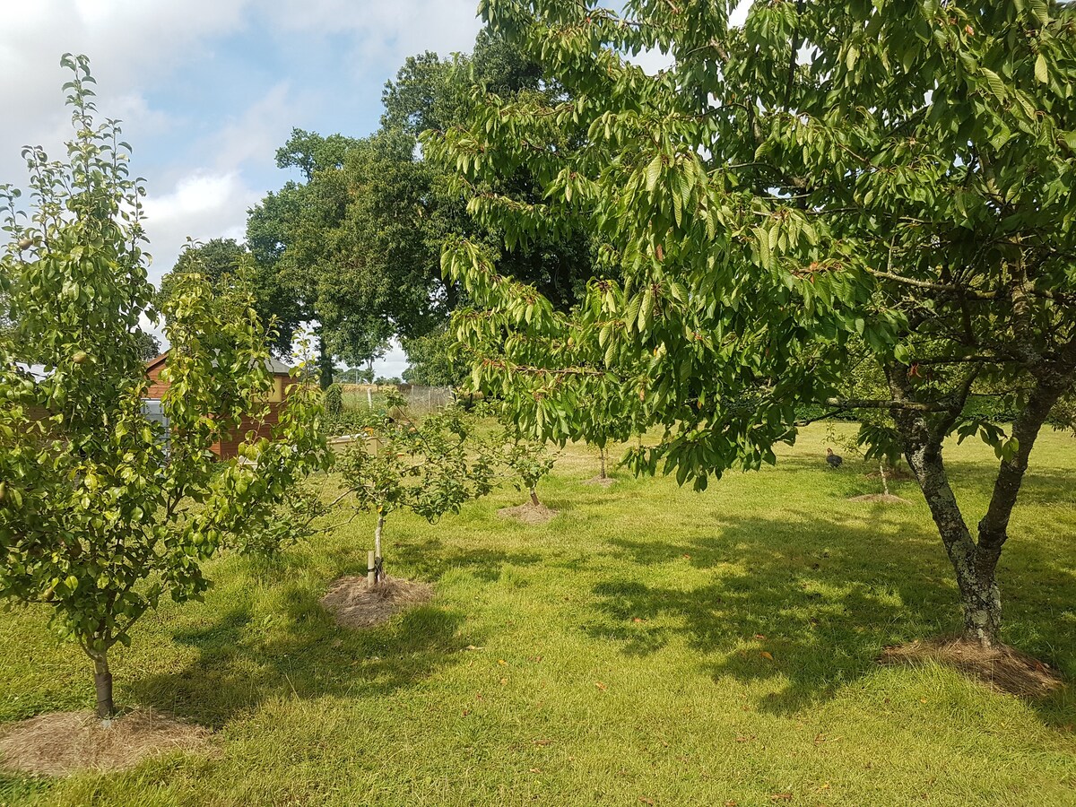 独立小屋，位于阳台农场中心