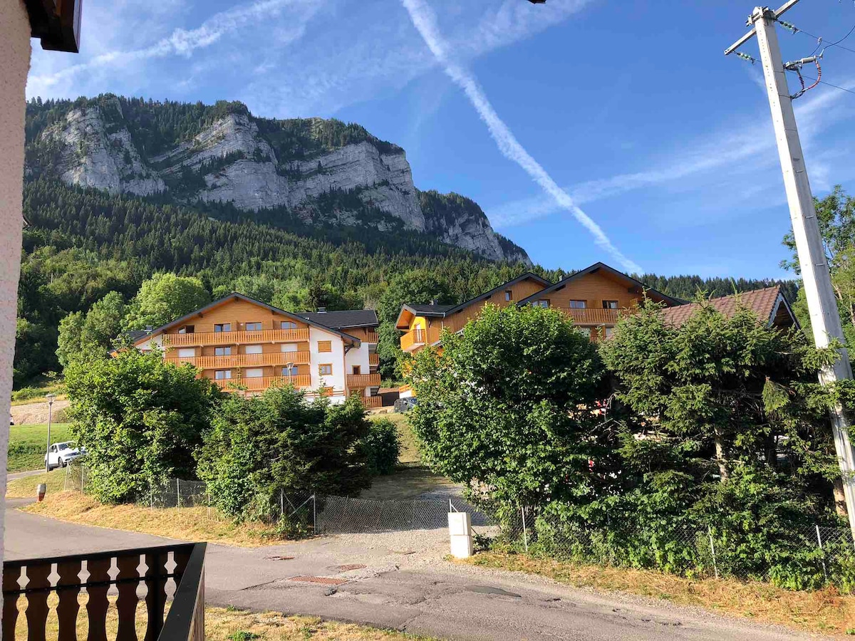 美丽的阿尔卑斯山公寓