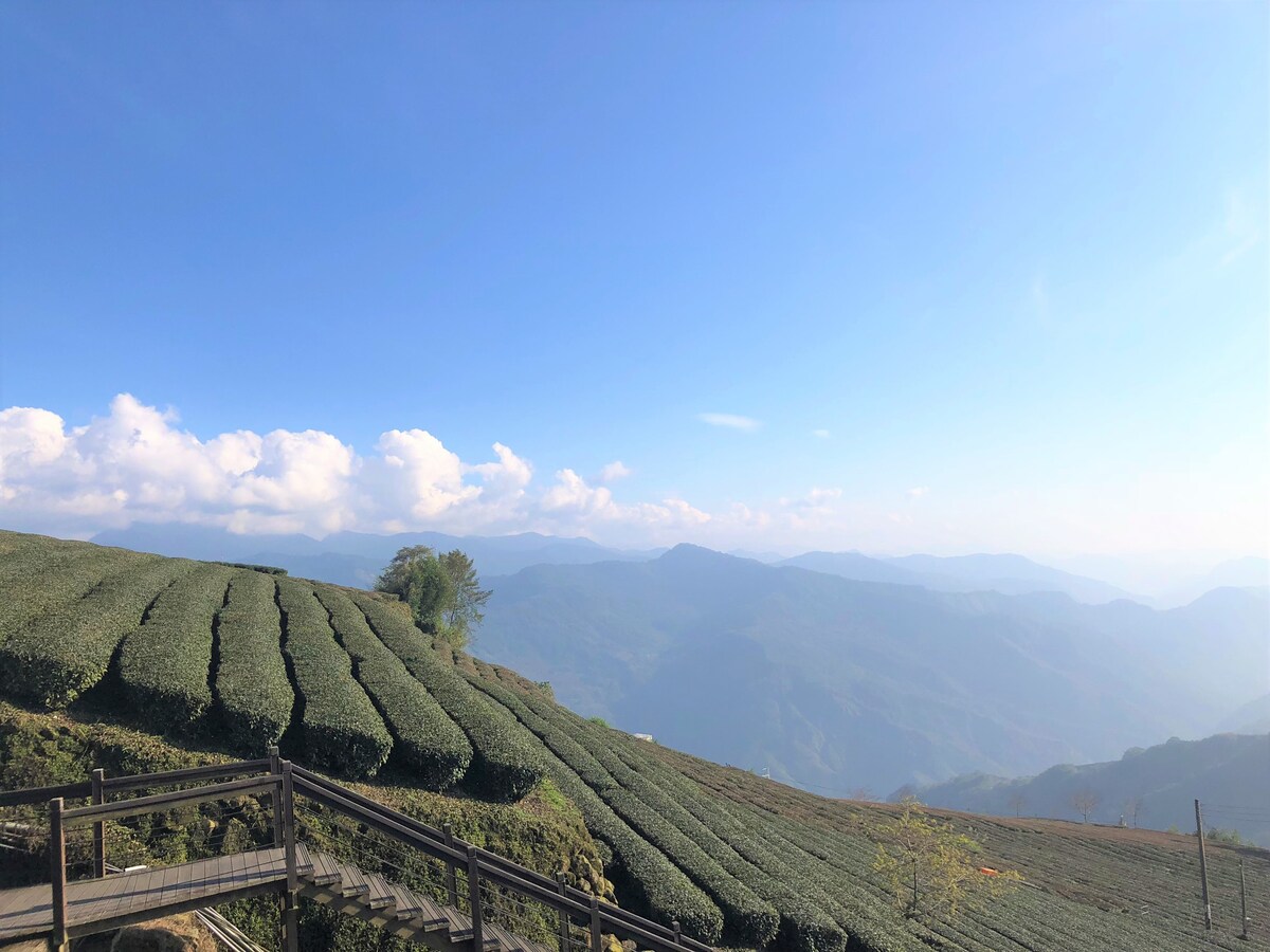 Alishan 阿里山山明秀民宿-雙人套房(含衛浴),環繞在茶園中的民宿,鄰近奮起湖(5公里)