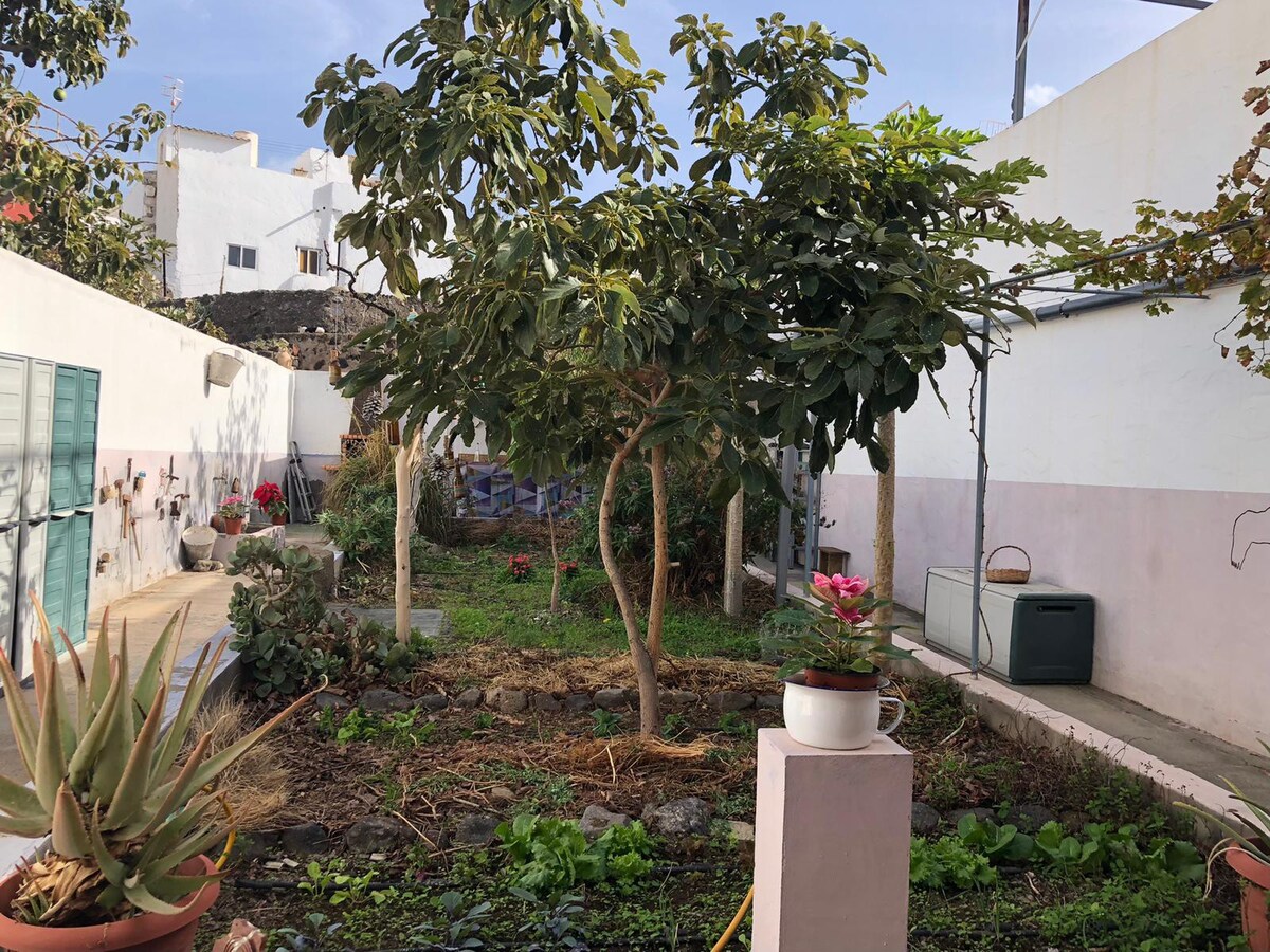 1.「Viento」- Susa和Pepe的花园和房子