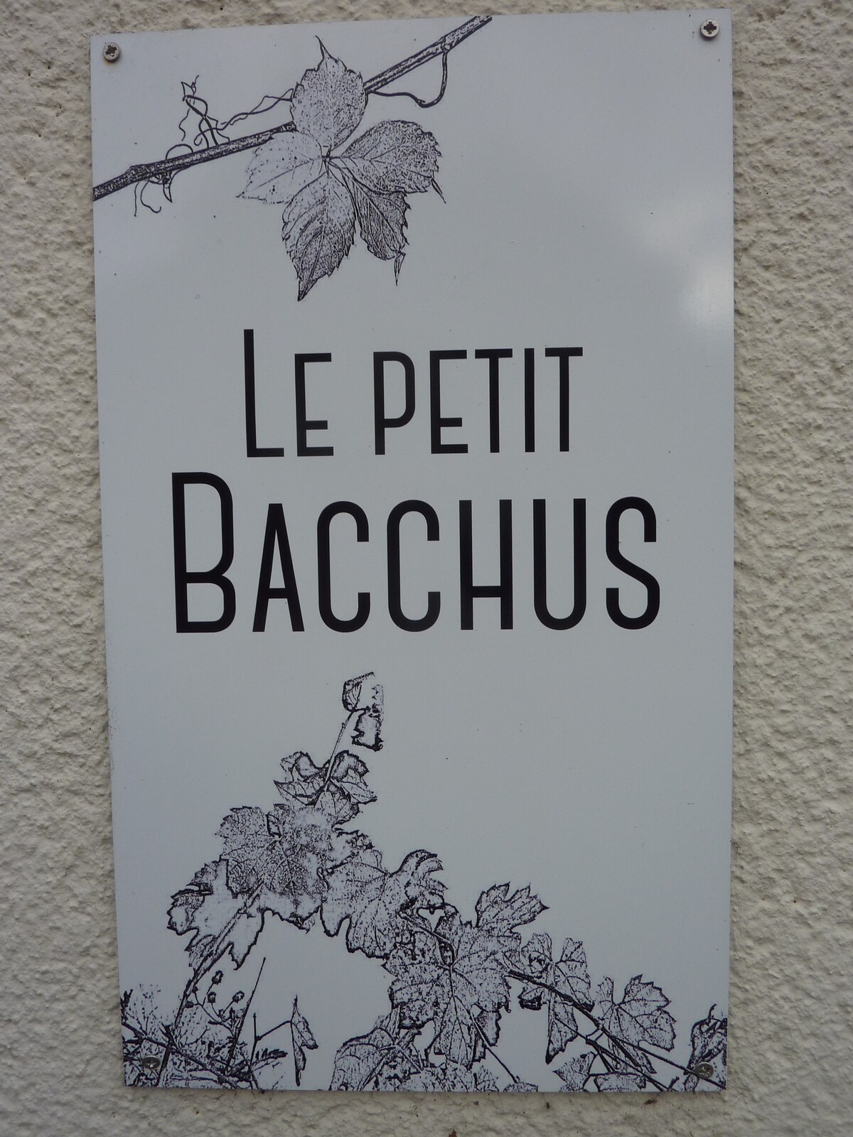 位于勃艮第的Maison "Le Petit Bacchus"