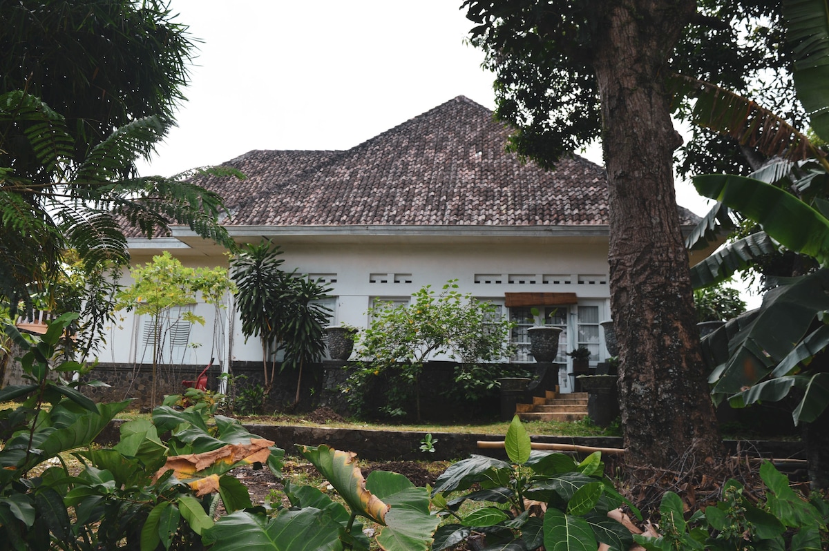 MALANG GILIMANUK HOUSE - 5座★殖民地豪宅