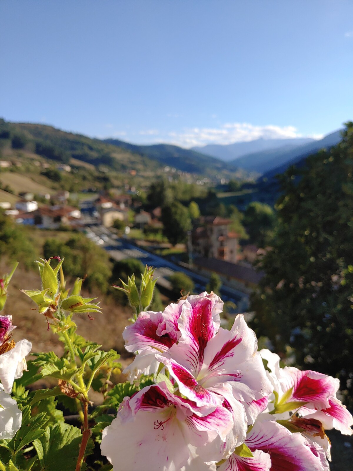 Paisaje, aire fresco, paz y buen clima.