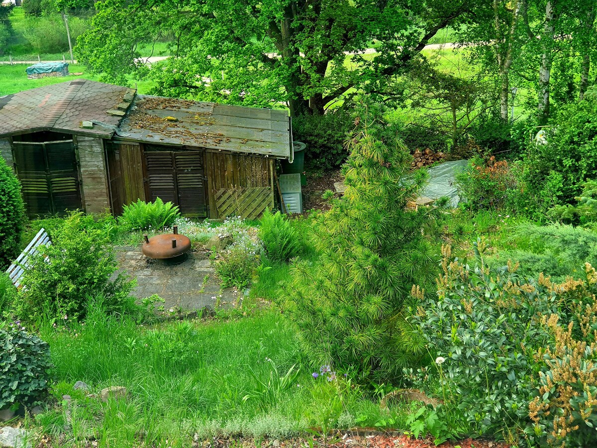 thuringian森林附近田园诗般的乡村小屋