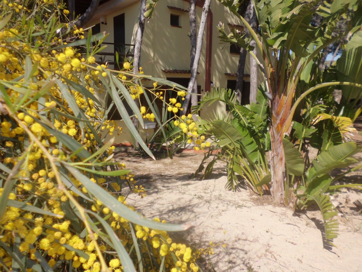 Location Acacia in villa fronte mare