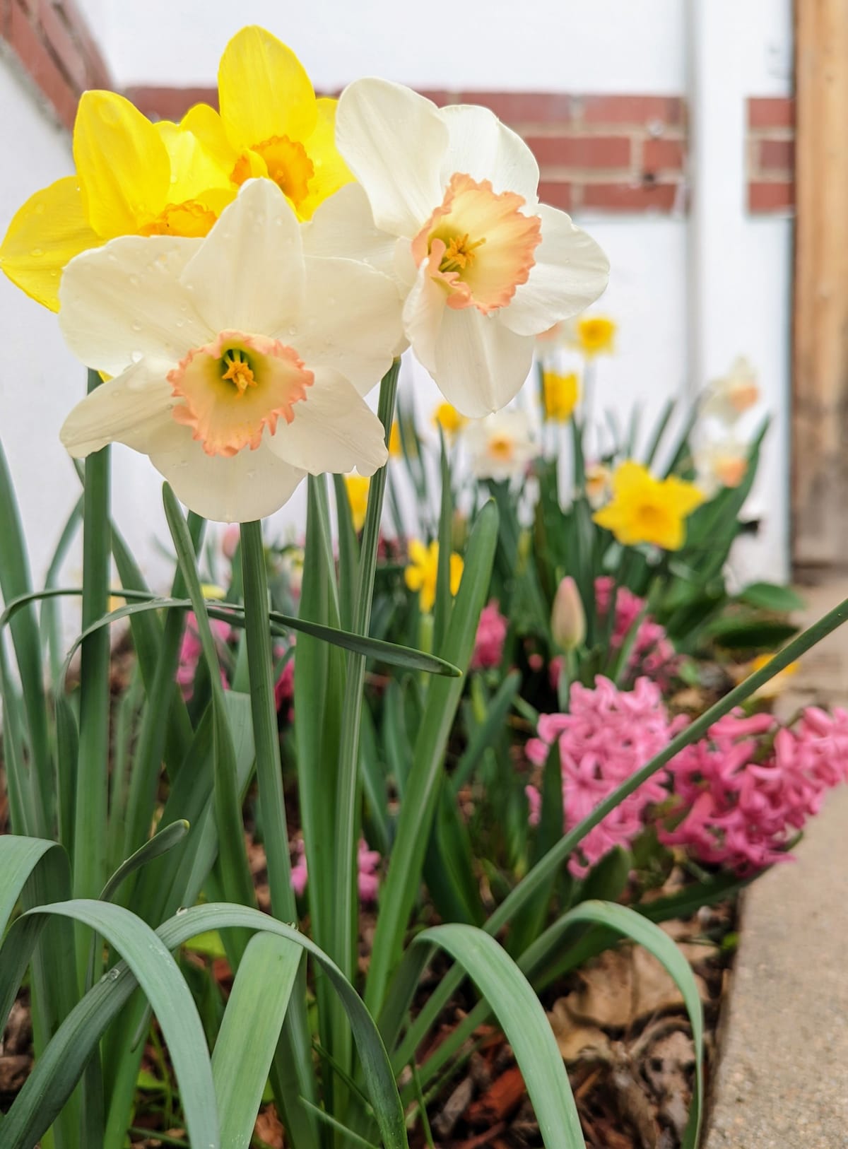 Sunny duplex: Quiet neighborhood but close to fun