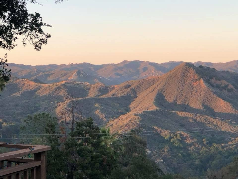 The Topanga Tree House