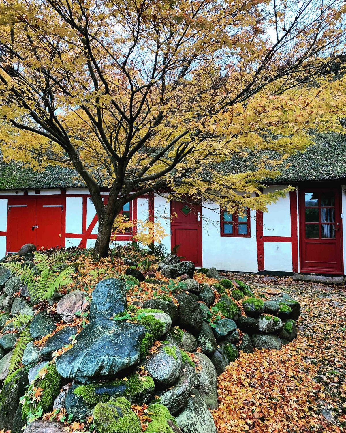 茅草屋中的住宿加早餐