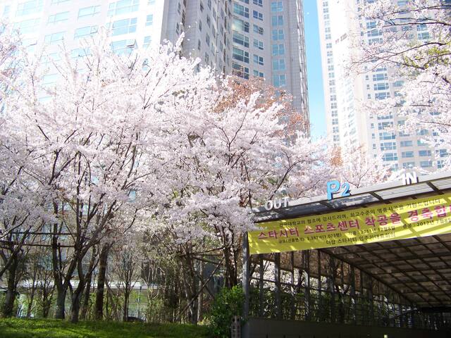 首尔的民宿