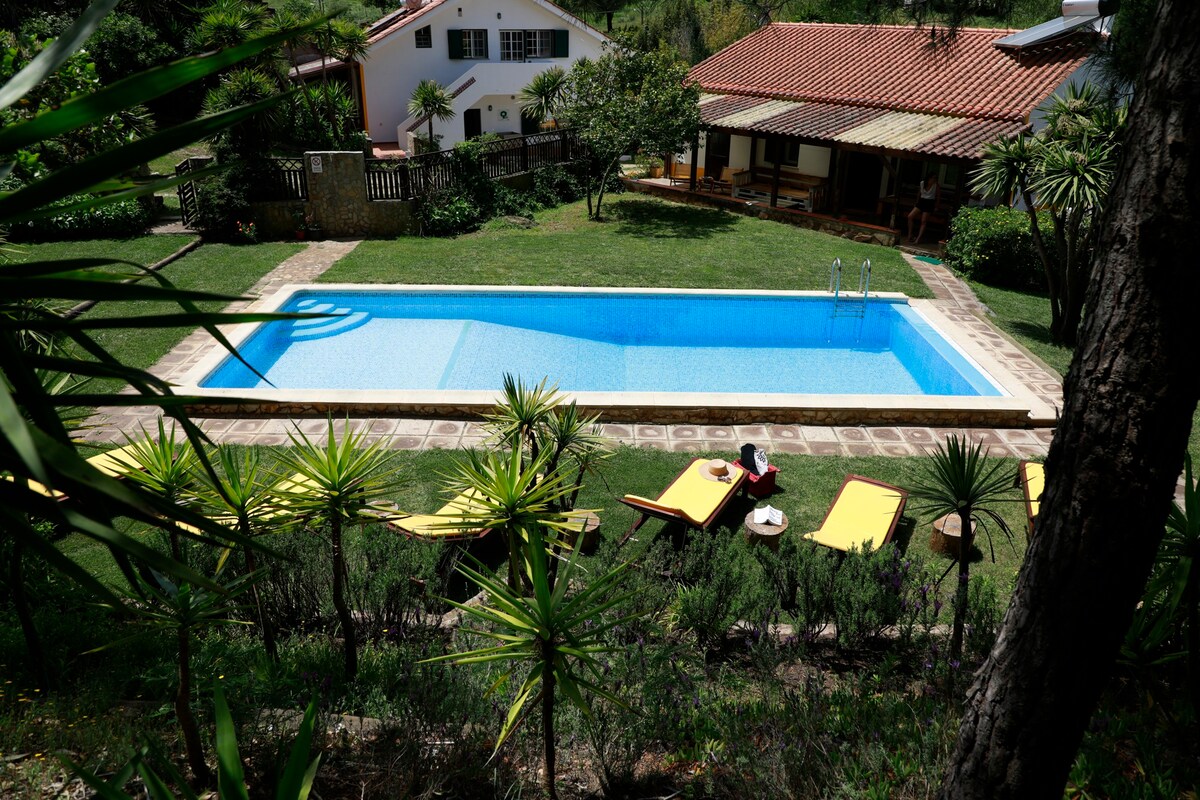 Quinta Camarena的Villa do Laranjal