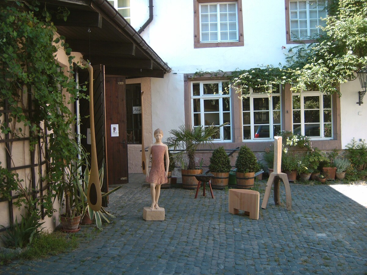Historic Adelshof am Marktplatz, Atelier 70平方米