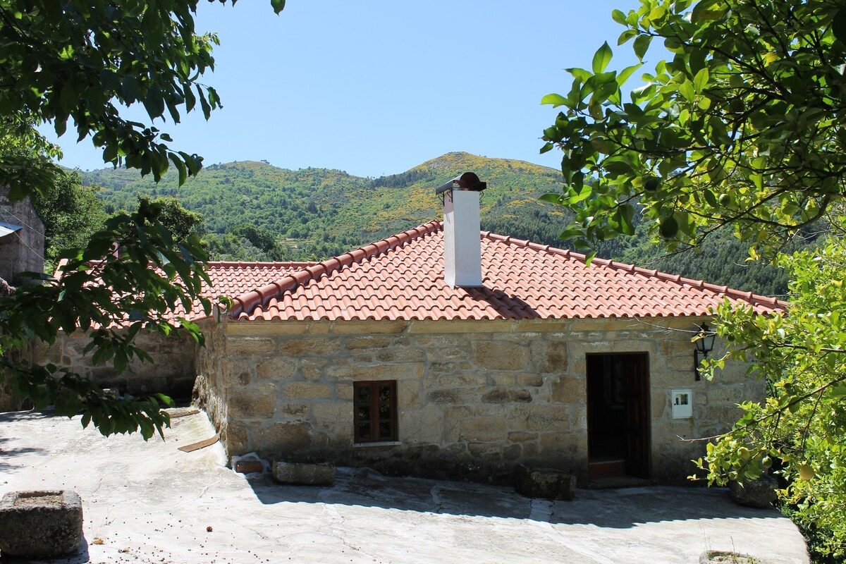 Quinta da Frieira, Casa rural