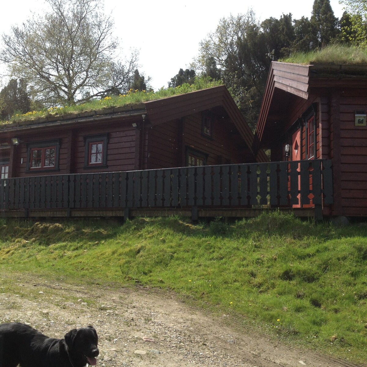 可欣赏峡湾景观的挪威原木住宅