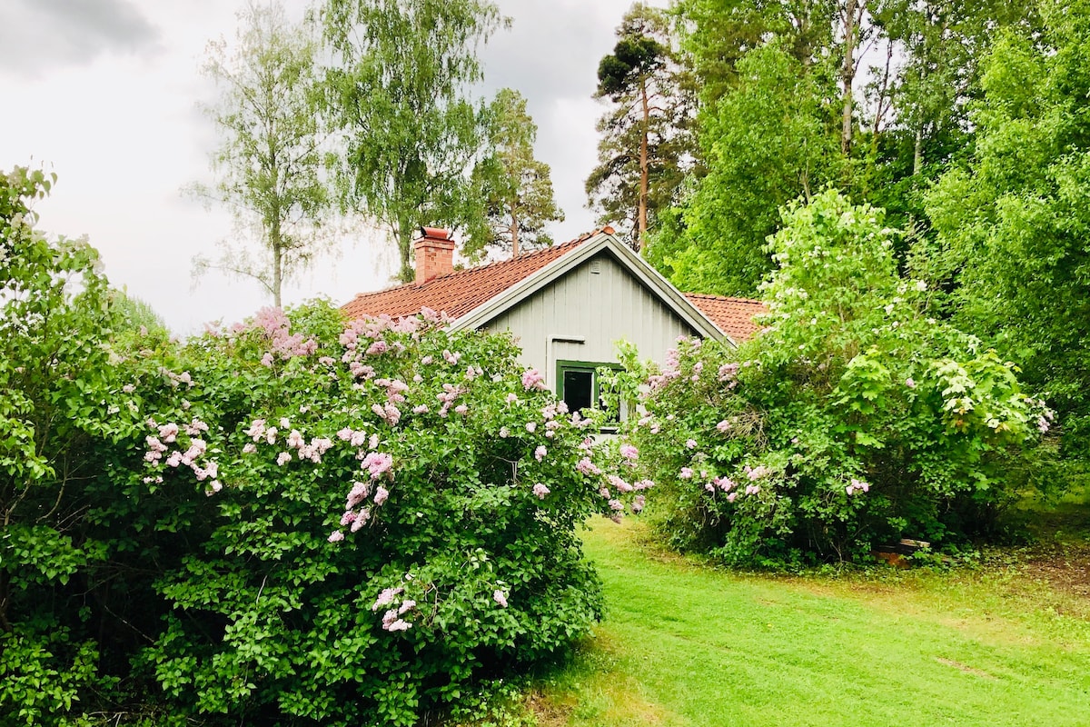 新装修的小屋，位于靠近市中心的历史环境中。