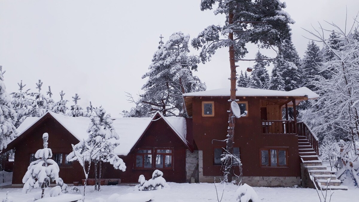 Doga ile basbasa eko yayla