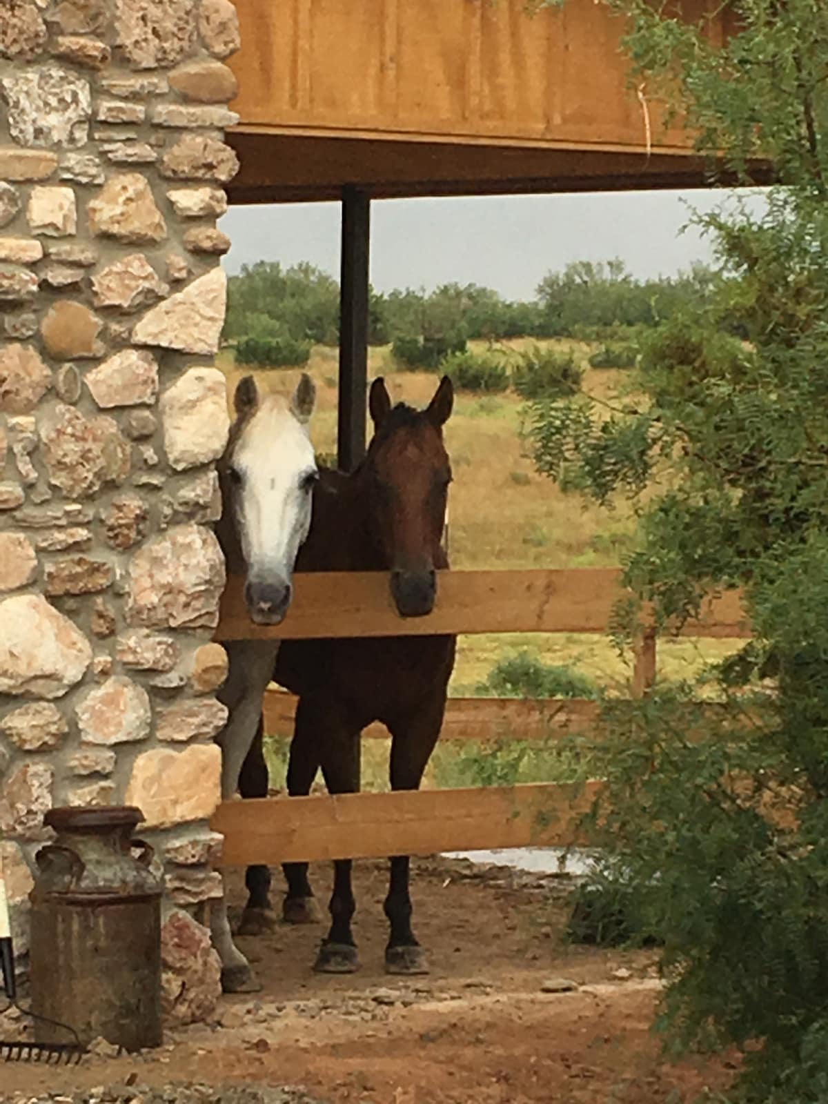 The Hideout at Palo Duro Canyon - Rider 's Roost