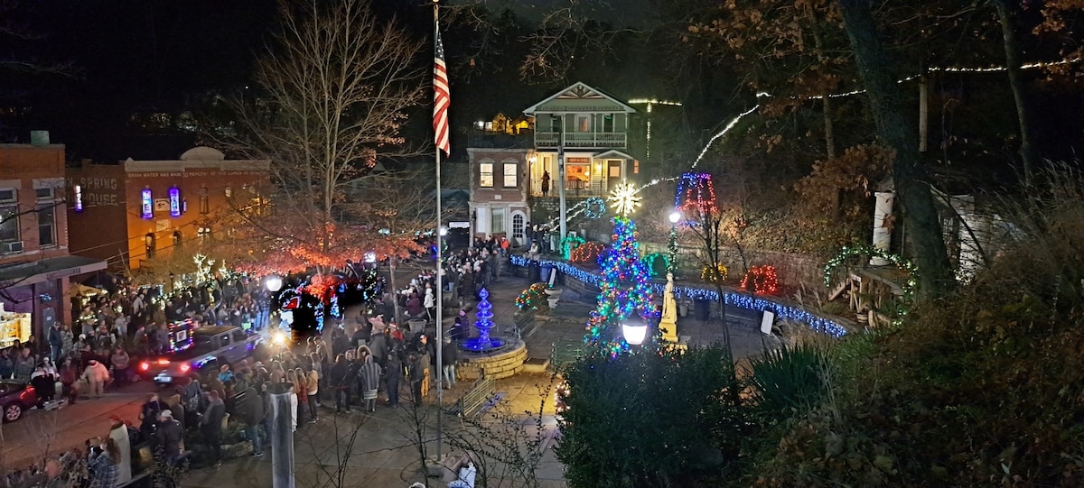 Historic Downtown House on Basin Park