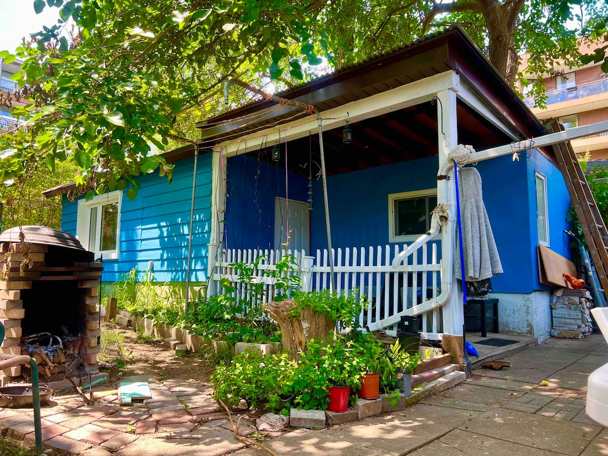 Tiny home in a backyard garden