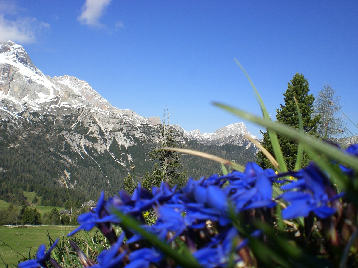 Pfaffingerhof Antholz Kronplatz Pustertal