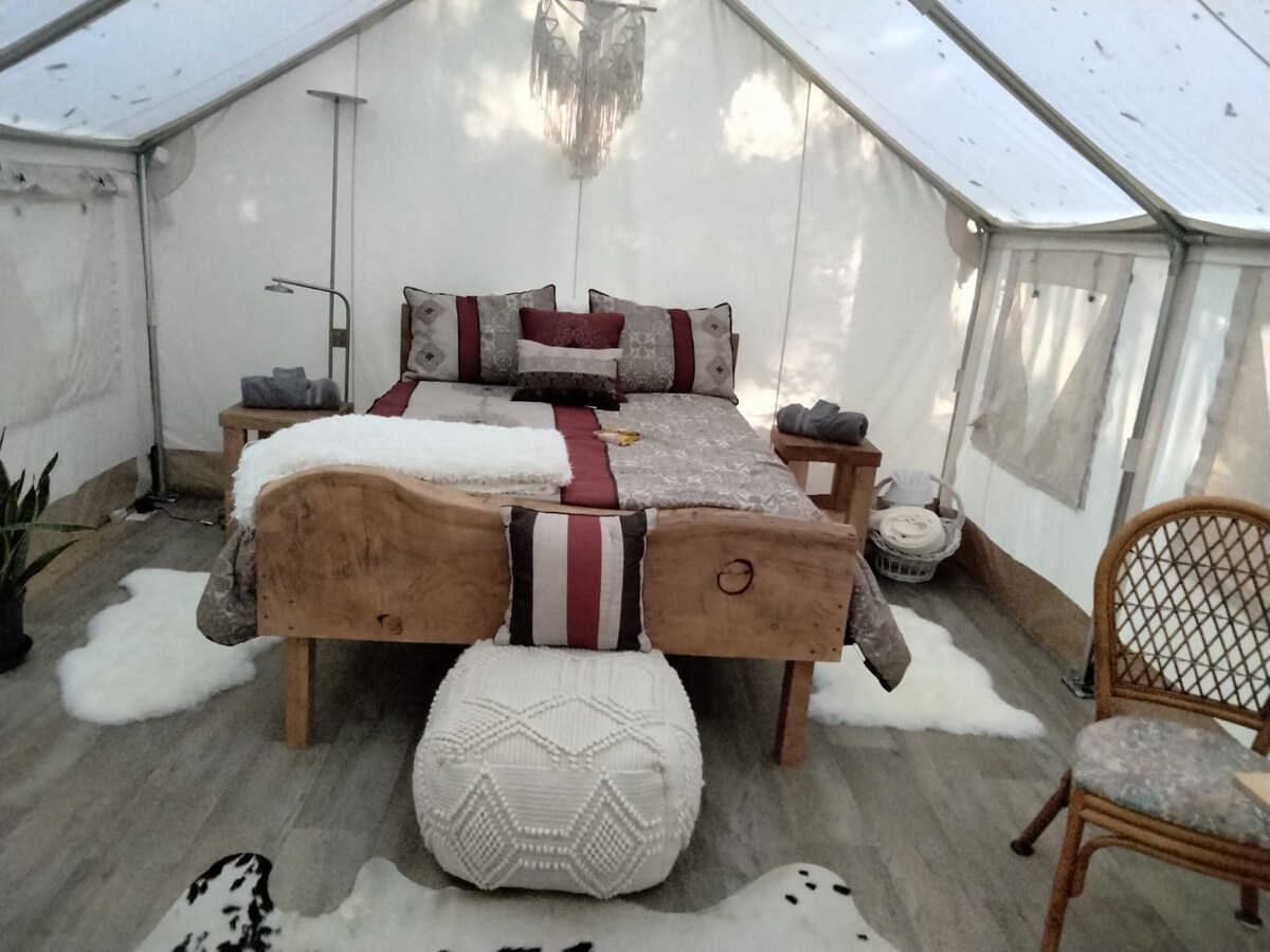 豪华露营马德罗纳帐篷、电暖气和冰箱