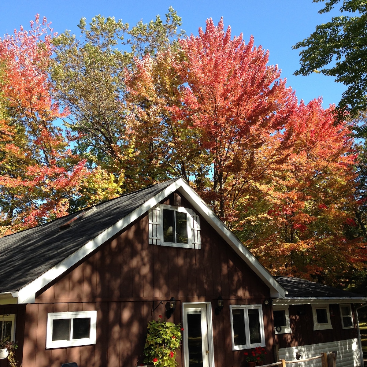 Cozy Northwoods Cabin