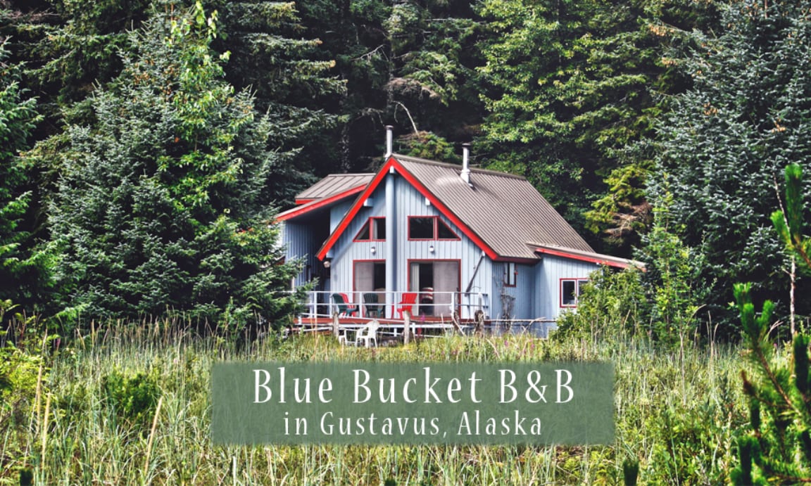 Blue Bucket B&B