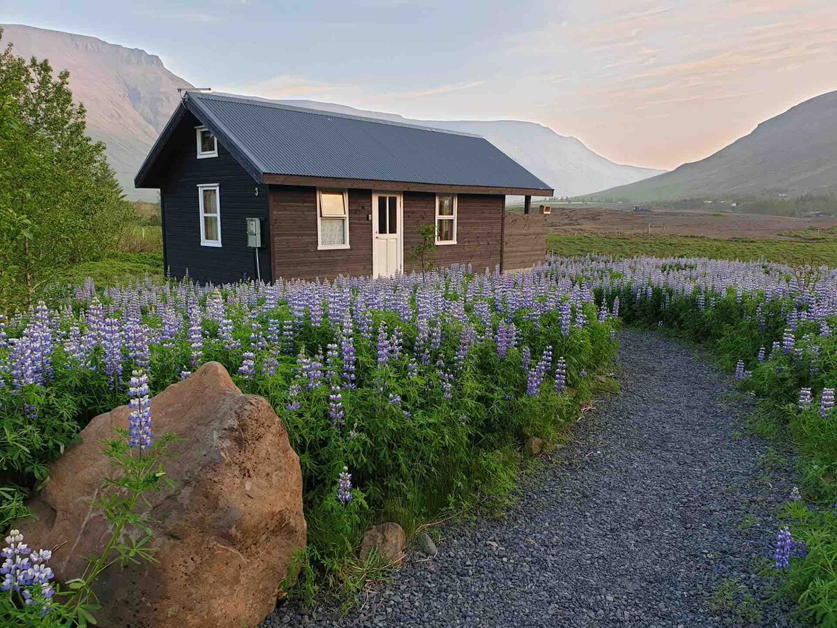位于Hvalfjordur的舒适小木屋，靠近雷克雅未克