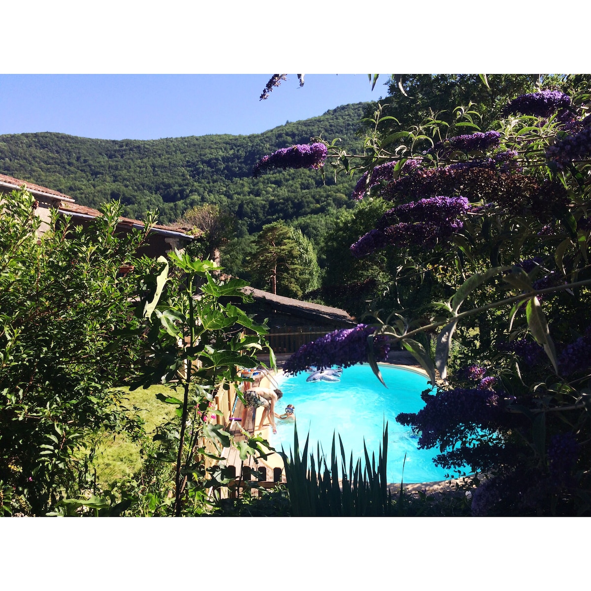 🌼🌸Gîte Tanagra 🌸🌼 : Maison avec piscine