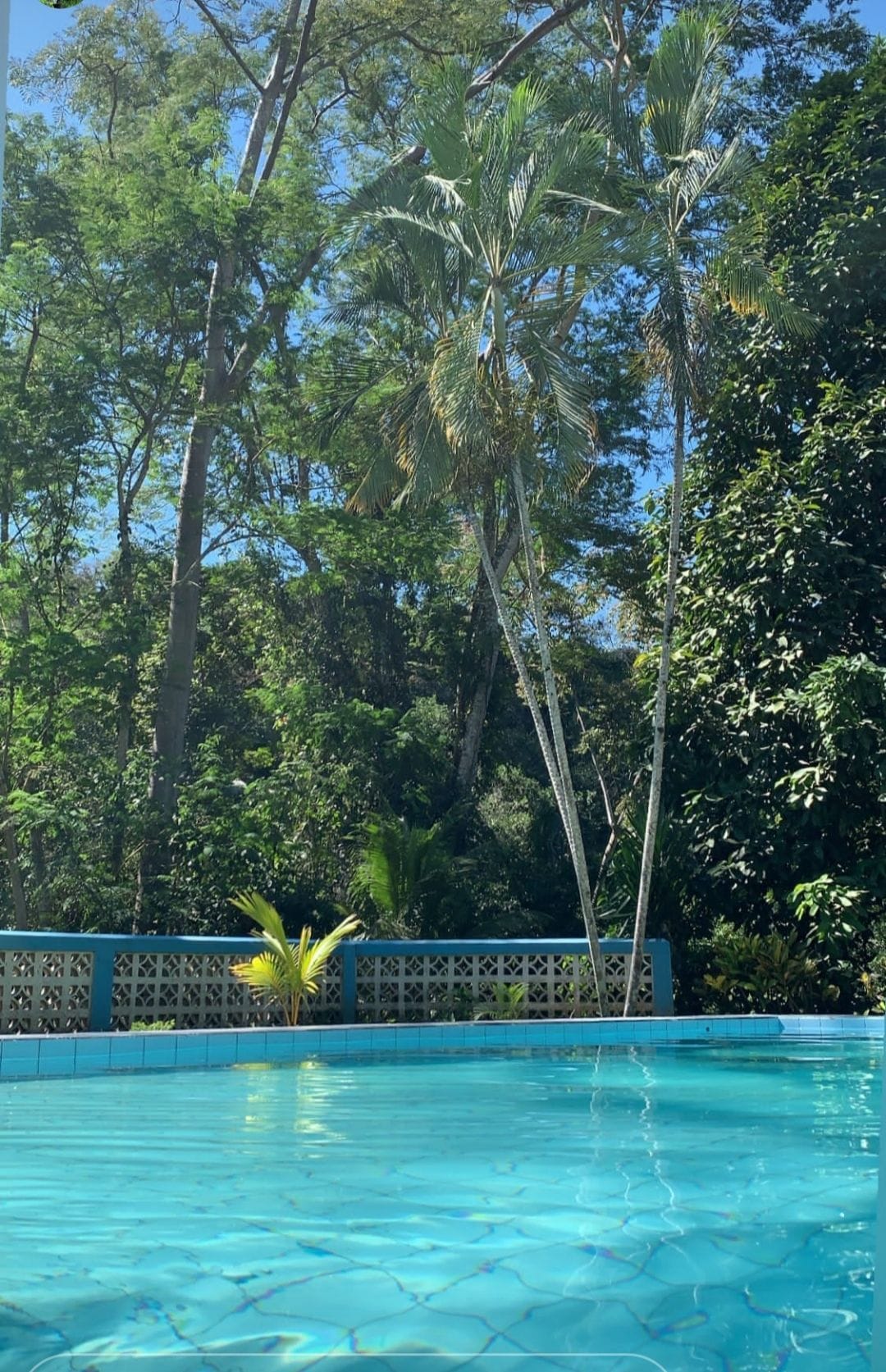 Cabaña Rustica en la selva