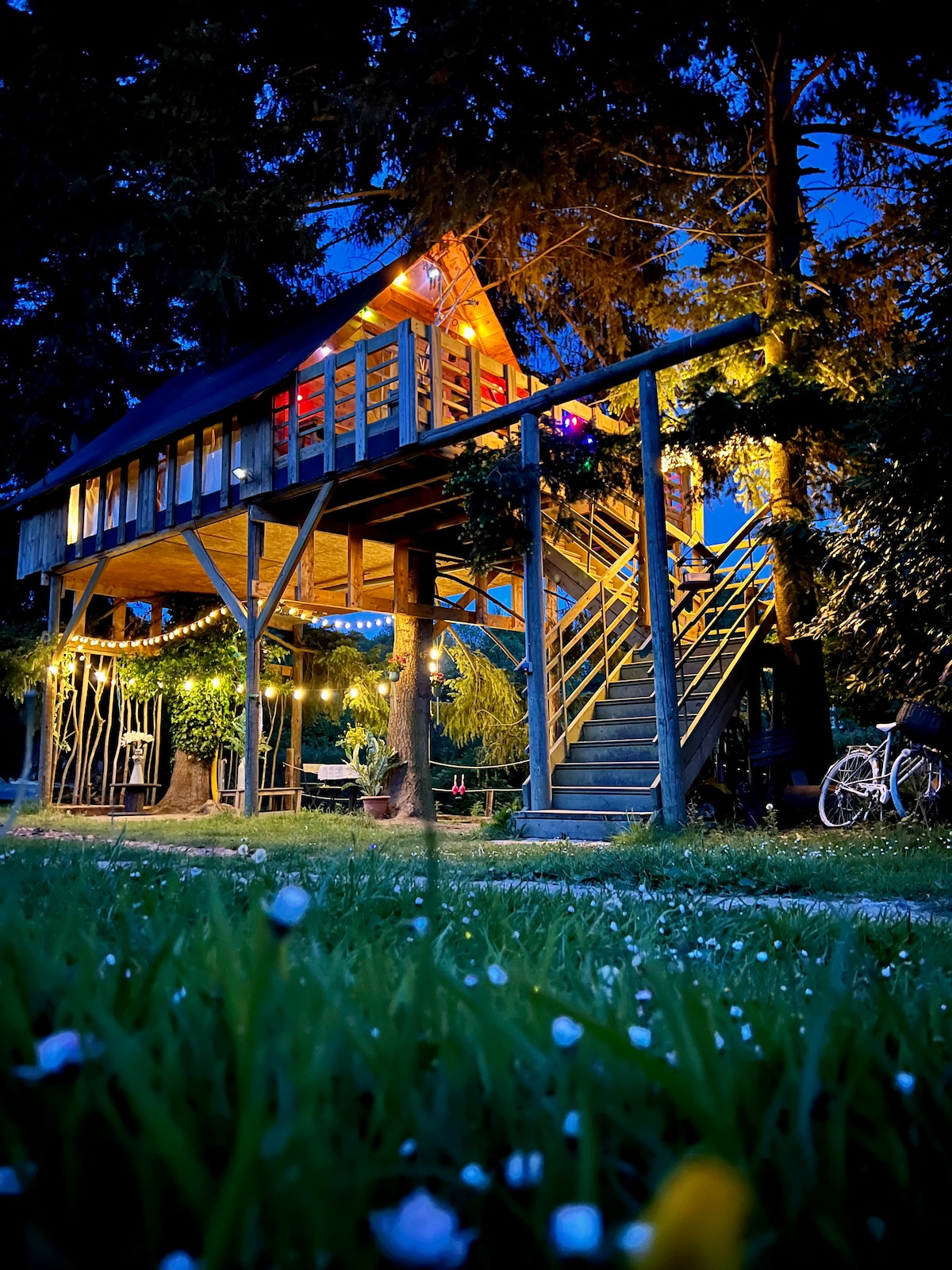 Cabane Entre Les Pins 🌲🏕🌲