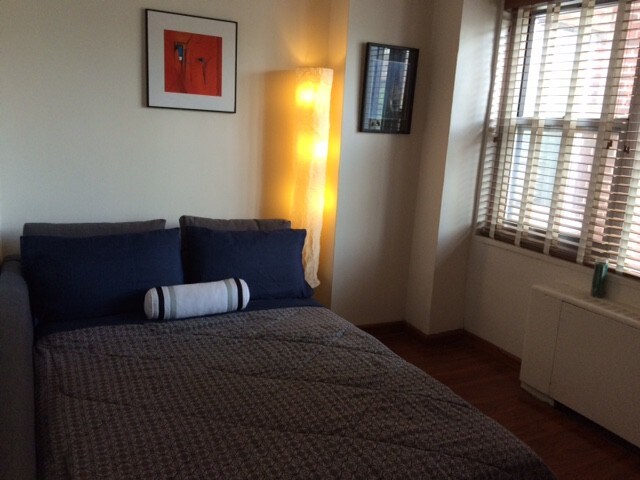 JFK/LGA标准双人床现代公寓。