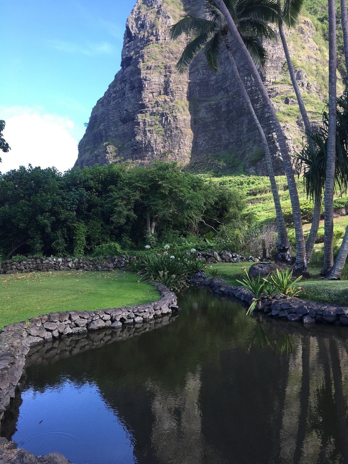 「蘑菇屋」吉隆坡山（ Kualoa Mountain ） （ 30天）