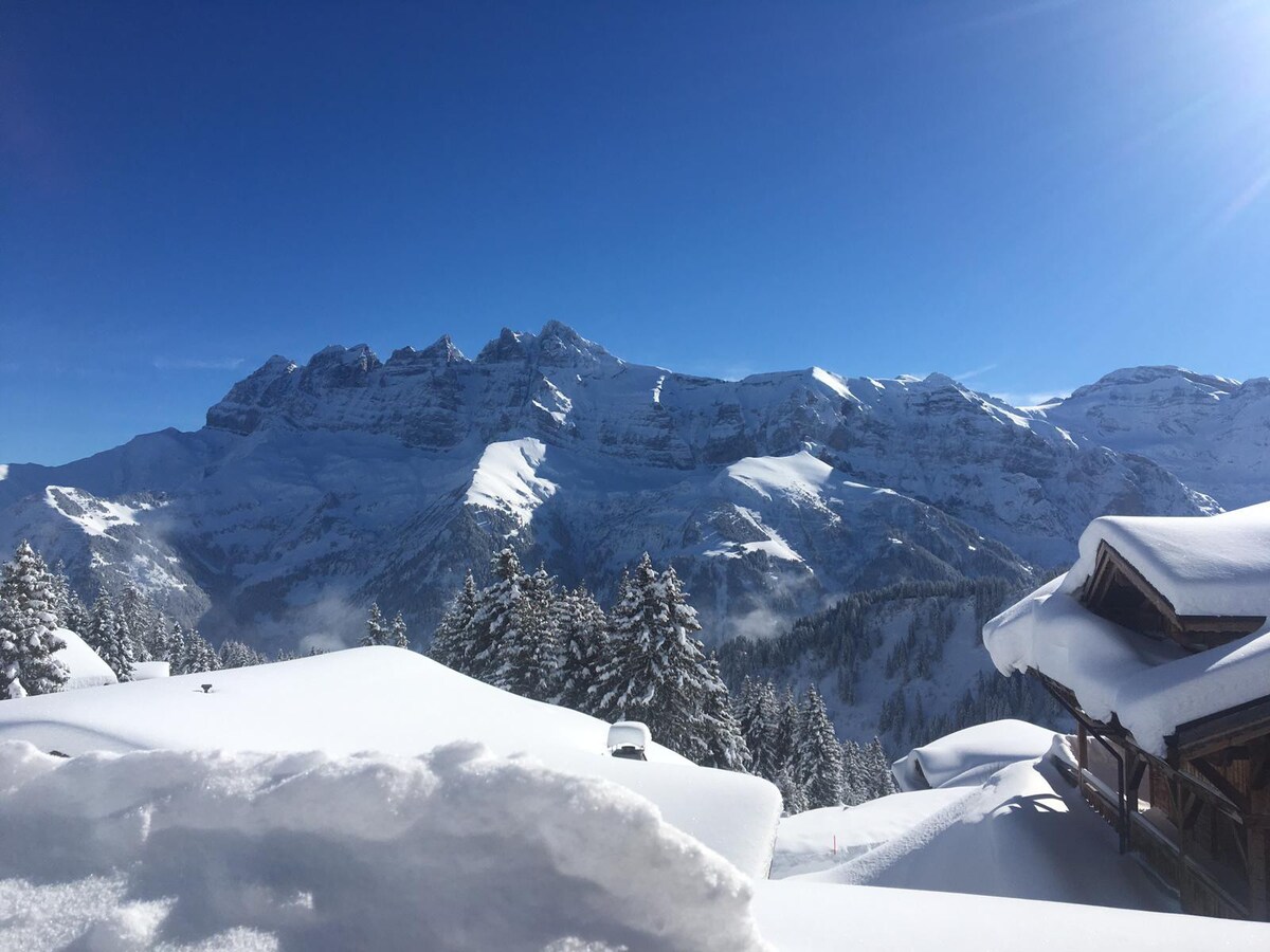 舒适的度假木屋，神奇的景观，步行滑雪。