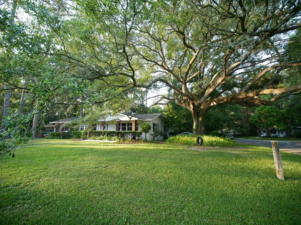 Heart of Gainesville Home ，后面有微型住宅