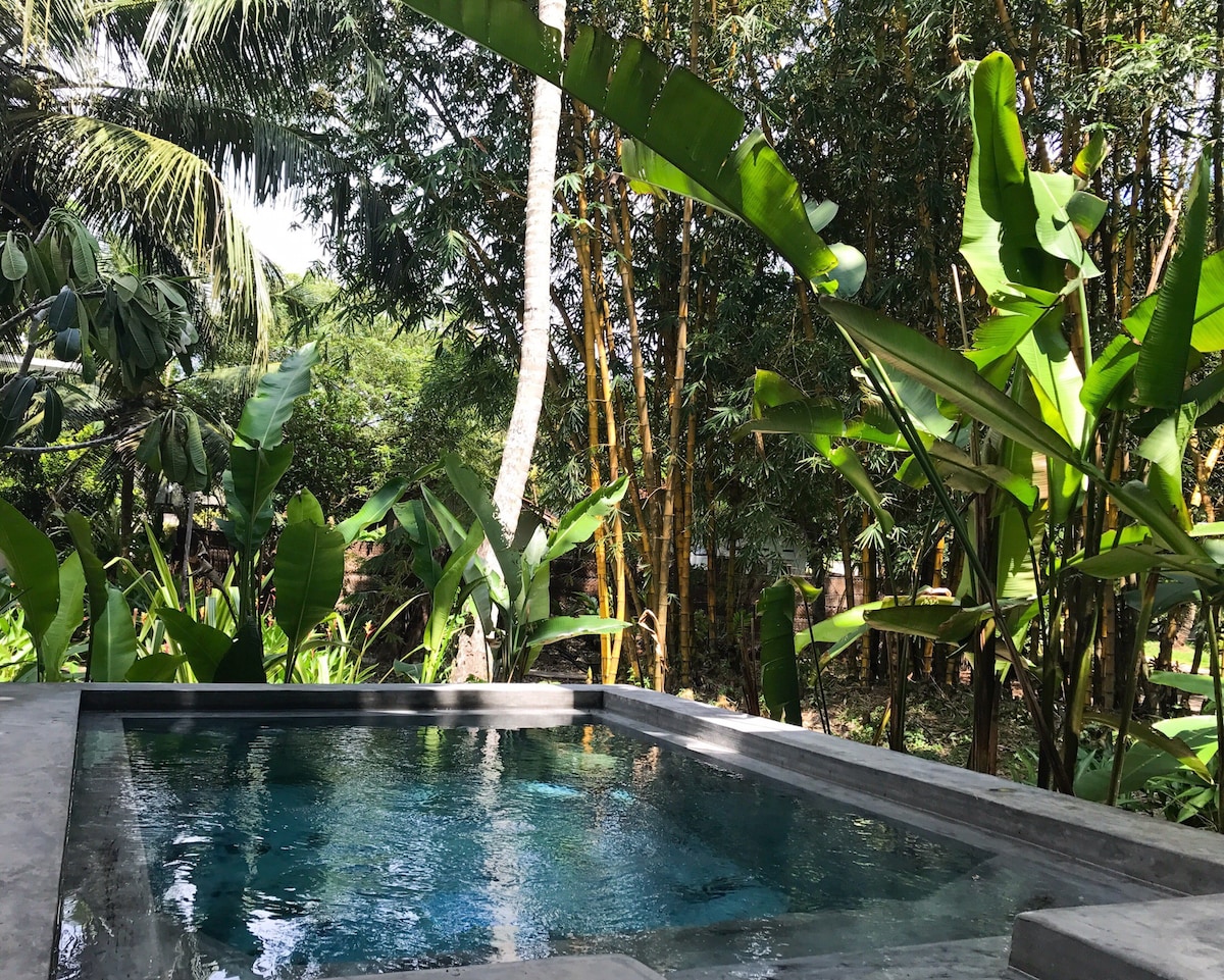 Dreamtime Plunge Pool Cabana 1