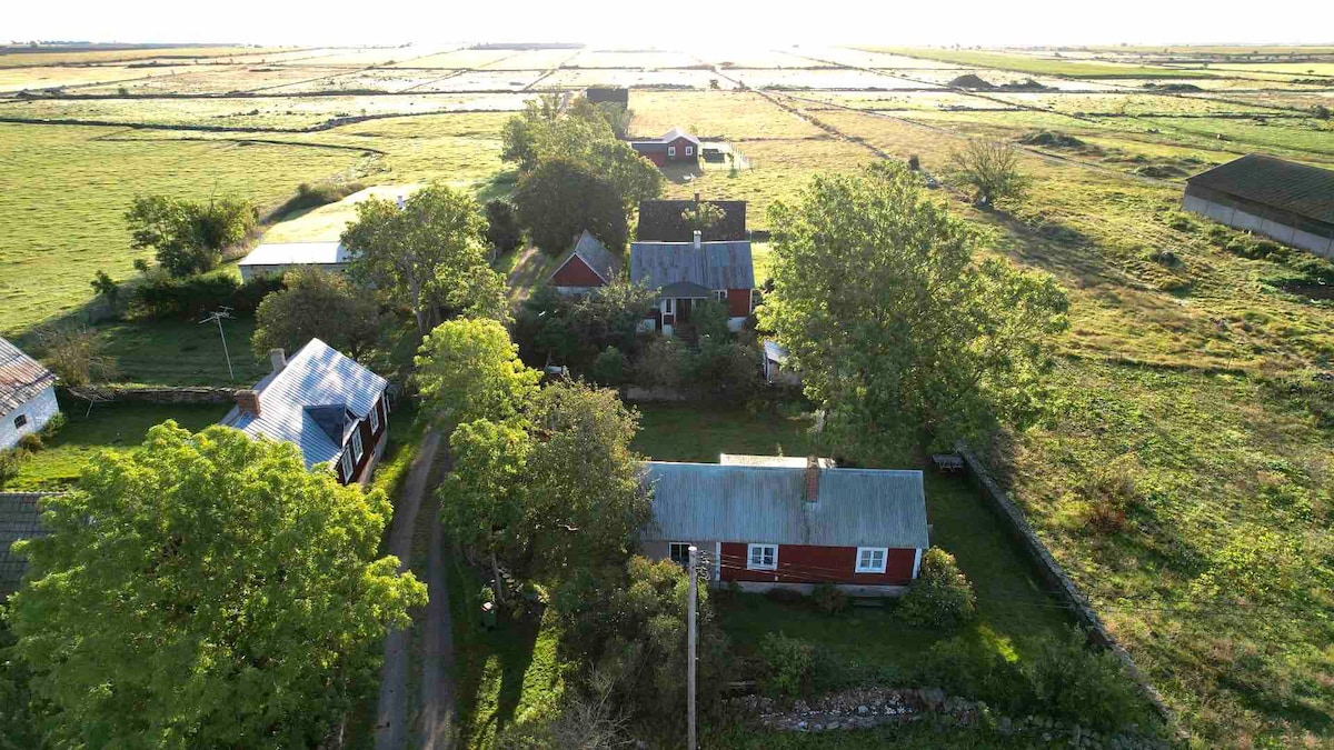 迷人的17世纪海景乡村小屋