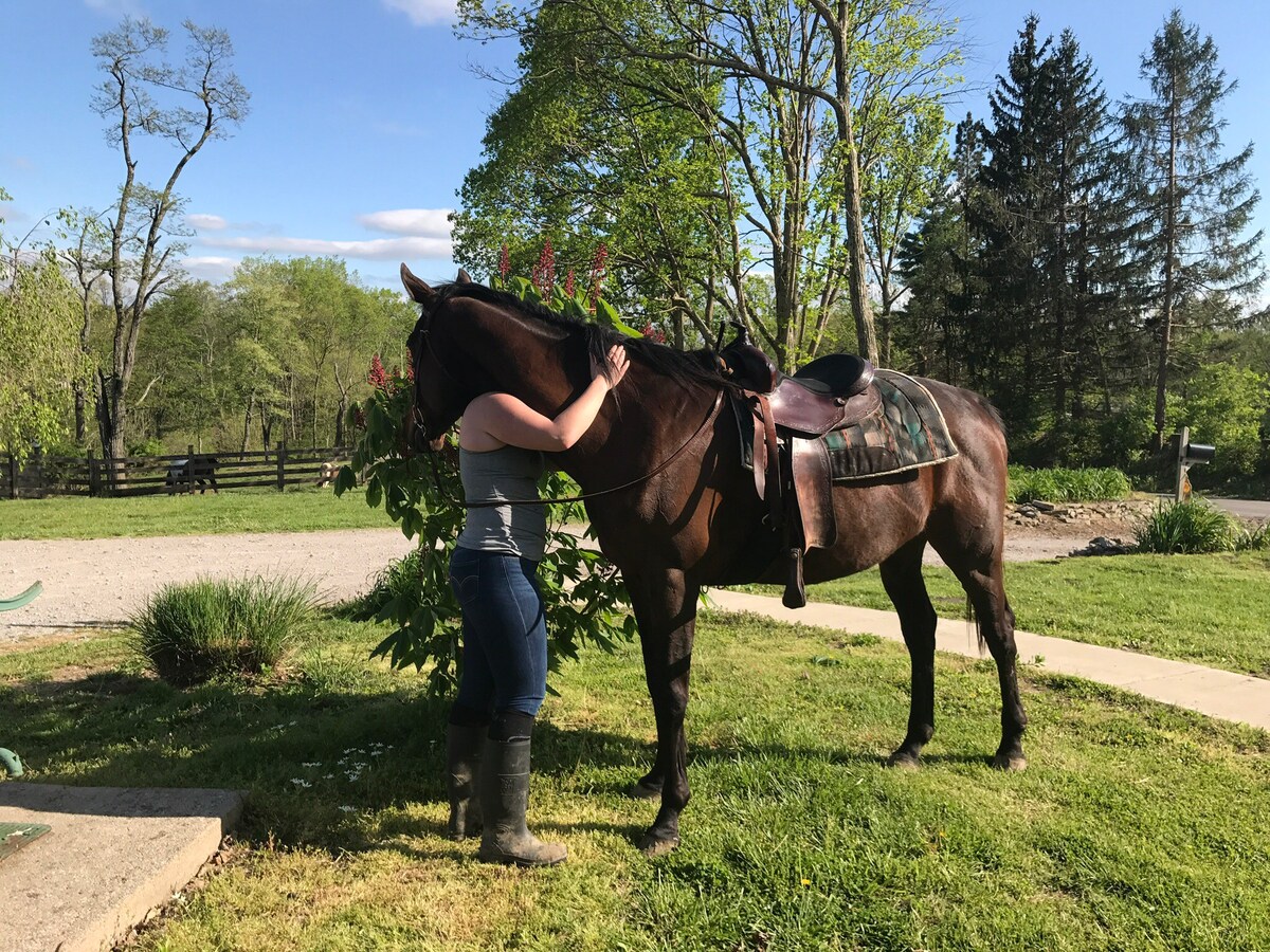 The Hay Loft 
Brand New!  
23 acre, horses, creek