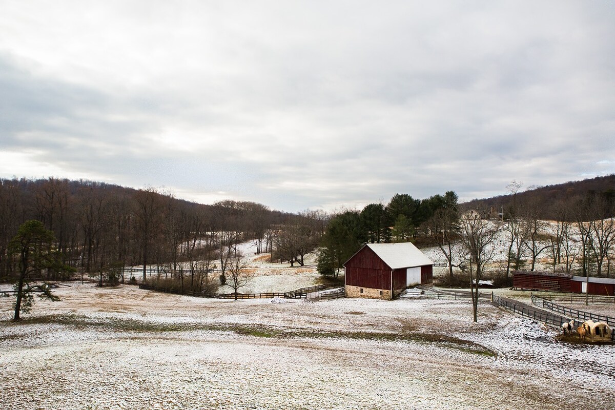 Hoot Owl Hill - Mountains - Peaceful - Hiking