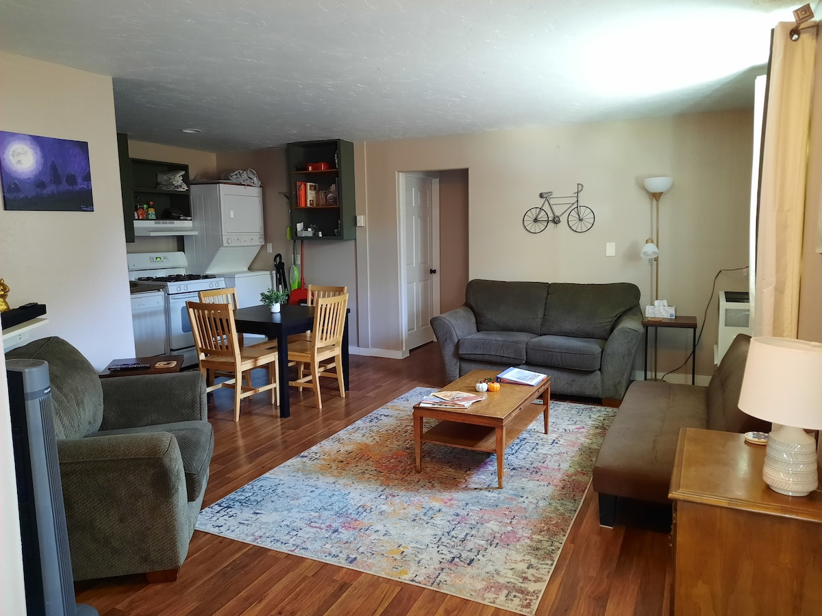 Cozy 3 bedroom private apartment near downtown