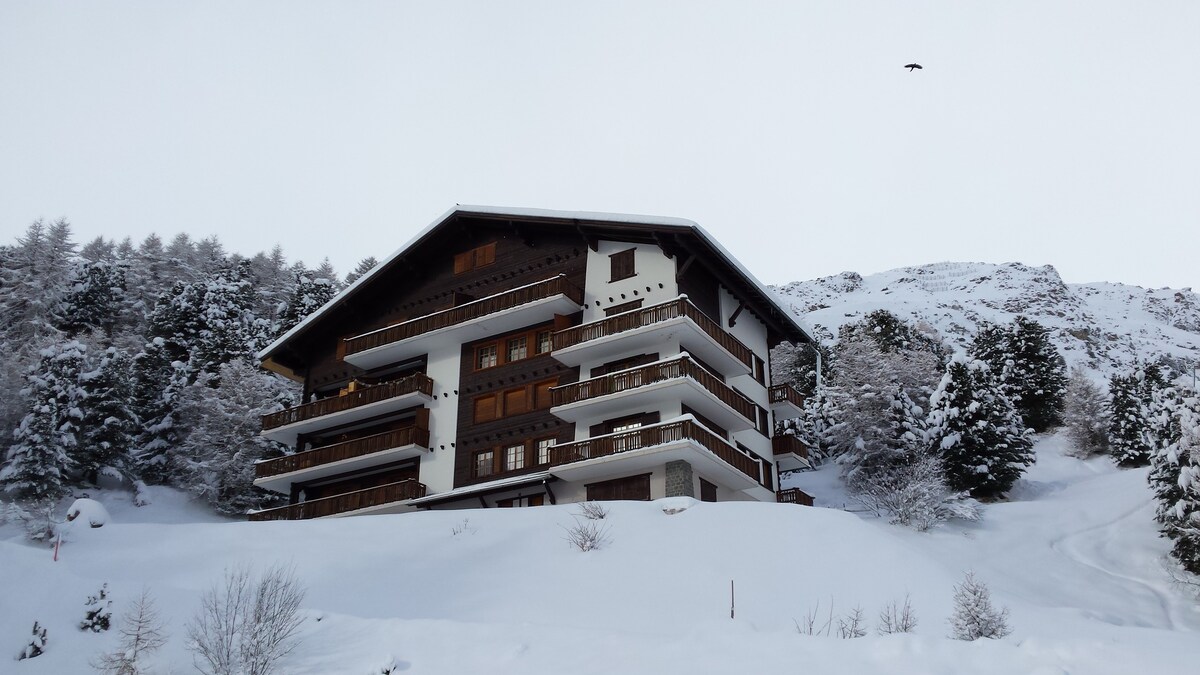 Arolla滑雪和徒步公寓。