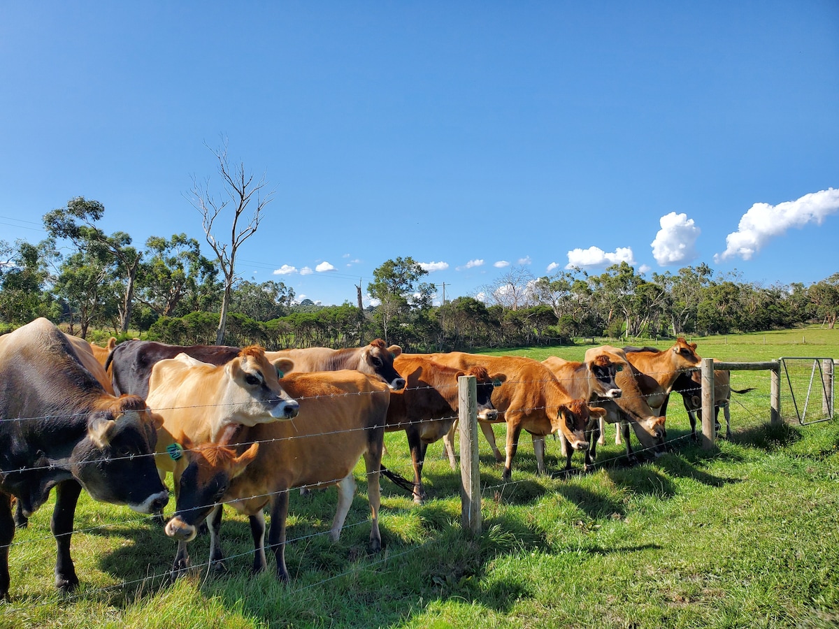 Step into a farm life