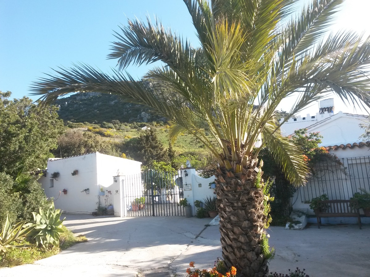 Apartment auf Finca mit Pool in der Natur