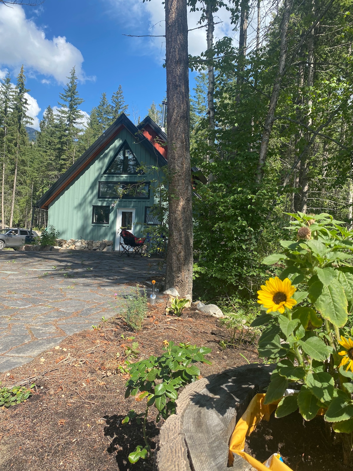 山区蜂鸟天堂迷人的小木屋