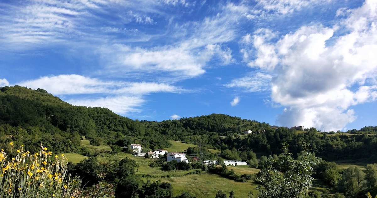 应用程序1 -像海蒂（ Heidi ）一样的牧场中的Baratti之家