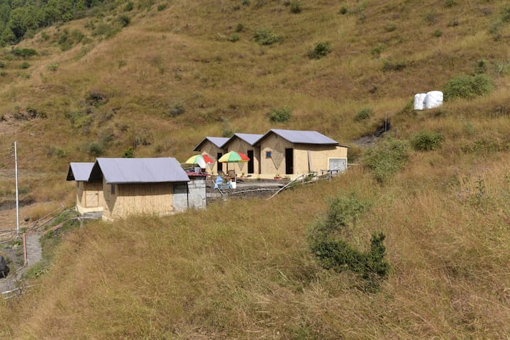 西姆拉（Shimla）的民宿