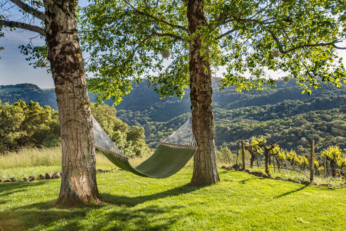 索诺玛终极葡萄酒乡村景观庄园