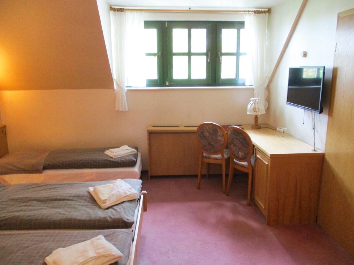 Ferienappartment Erfurter Kreuz (Amt Wachsenburg) - LOH06780, Zimmerzimmer, 1 Wohn-/Schlafzimmer,最多4人